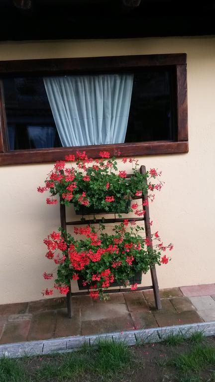 B&B Il Salice Veruno Exterior photo
